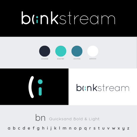 blink logo style guide